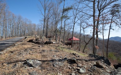 Views, views, views! When you decide to build a home in the on Brasstown Valley Resort and Spa in Georgia - for sale on GolfHomes.com, golf home, golf lot