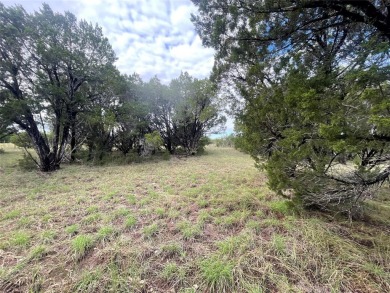 Beautiful flat .85 acre lot. This large lot give you multiple on The Retreat in Texas - for sale on GolfHomes.com, golf home, golf lot