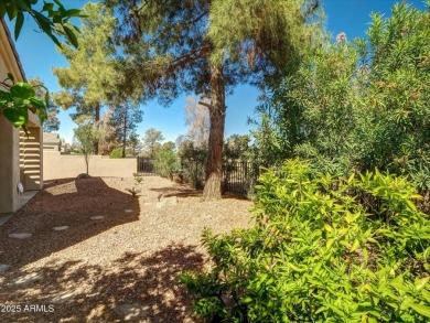 Golf balls - don't worry.  This dream home is on the 4th tee of on Raven Golf Club At South Mountain in Arizona - for sale on GolfHomes.com, golf home, golf lot