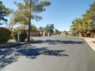 Golf balls - don't worry.  This dream home is on the 4th tee of on Raven Golf Club At South Mountain in Arizona - for sale on GolfHomes.com, golf home, golf lot
