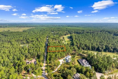 An Acre Steelwood Golf Course Lot Overlooking Tee Box #4 on Steelwood Country Club in Alabama - for sale on GolfHomes.com, golf home, golf lot