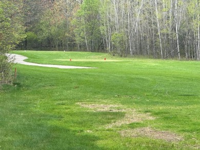 Great building potential on this nicely wooded lot. Located on on Fox Run Country Club in Michigan - for sale on GolfHomes.com, golf home, golf lot
