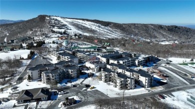 GET THAT COZY CABIN FEEL AT A FRACTION OF THE COST! Year-round on Beech Mountain Club in North Carolina - for sale on GolfHomes.com, golf home, golf lot