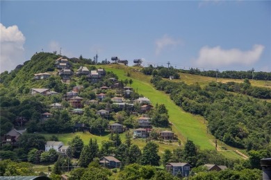 GET THAT COZY CABIN FEEL AT A FRACTION OF THE COST! Year-round on Beech Mountain Club in North Carolina - for sale on GolfHomes.com, golf home, golf lot