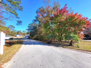 Golf Course lot overlooks the 15th Green of the Santee National on Santee National Golf Course in South Carolina - for sale on GolfHomes.com, golf home, golf lot