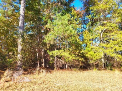 Golf Course lot overlooks the 15th Green of the Santee National on Santee National Golf Course in South Carolina - for sale on GolfHomes.com, golf home, golf lot