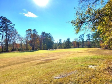 Golf Course lot overlooks the 15th Green of the Santee National on Santee National Golf Course in South Carolina - for sale on GolfHomes.com, golf home, golf lot