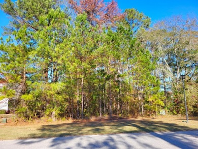 Waterfront lot overlooking a 15 acre pond within Chapel Creek on Santee National Golf Course in South Carolina - for sale on GolfHomes.com, golf home, golf lot