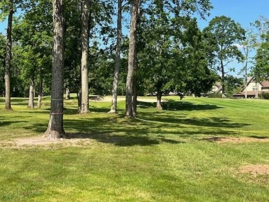 GREAT 2 BED/2 1/2 BATH FAIRWAYS CONDOMINIUM OVERLOOKING THE on Birchwood Farms Golf and Country Club in Michigan - for sale on GolfHomes.com, golf home, golf lot