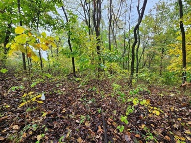 Build your dream home on this perced and surveyed .58-acre on  in Arkansas - for sale on GolfHomes.com, golf home, golf lot