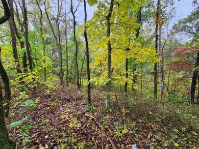 Build your dream home on this perced and surveyed .58-acre on  in Arkansas - for sale on GolfHomes.com, golf home, golf lot