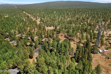 Beautiful End-Unit Townhome! 

Discover this wonderful townhome on Pinetop Lakes Golf and Country Club in Arizona - for sale on GolfHomes.com, golf home, golf lot