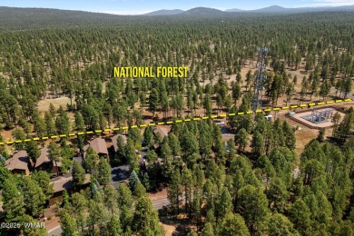 Beautiful End-Unit Townhome! 

Discover this wonderful townhome on Pinetop Lakes Golf and Country Club in Arizona - for sale on GolfHomes.com, golf home, golf lot