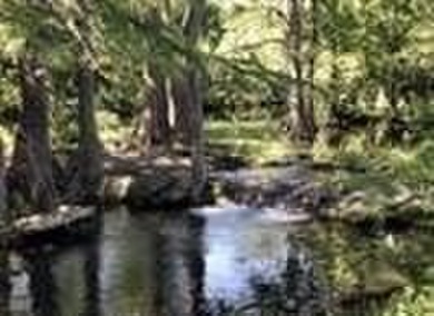 Build your next Dream House on direct golf course land sites! on Rebecca Creek Golf Club in Texas - for sale on GolfHomes.com, golf home, golf lot