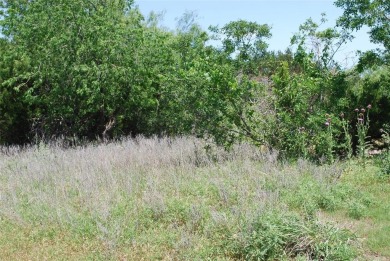 Do you enjoy playing golf?  Do you enjoy watching golfers?  This on White Bluff Resort - Old Course in Texas - for sale on GolfHomes.com, golf home, golf lot