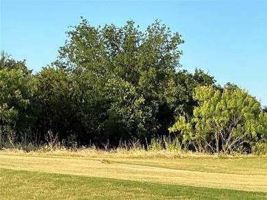 Do you enjoy playing golf?  Do you enjoy watching golfers?  This on White Bluff Resort - Old Course in Texas - for sale on GolfHomes.com, golf home, golf lot