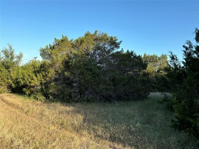 Do you enjoy playing golf?  Do you enjoy watching golfers?  This on White Bluff Resort - Old Course in Texas - for sale on GolfHomes.com, golf home, golf lot