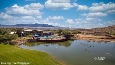Looking for a well kept, clean, low maintenance house in Sun on Conestoga Golf Club in Nevada - for sale on GolfHomes.com, golf home, golf lot