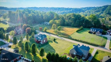 Best lot available in Warrior Falls Subdivision! Perfect lot to on Tennessee Golf Trail At Warriors Path in Tennessee - for sale on GolfHomes.com, golf home, golf lot