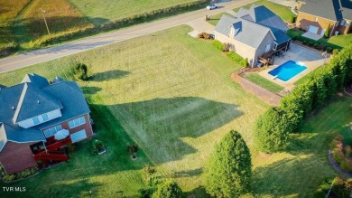 Best lot available in Warrior Falls Subdivision! Perfect lot to on Tennessee Golf Trail At Warriors Path in Tennessee - for sale on GolfHomes.com, golf home, golf lot