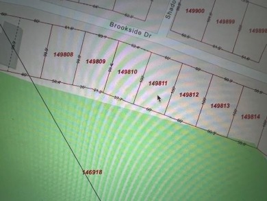 NICE LOT ON THE NEW GOLF  COURSE READY FOR YOUR NEW HOME IN on White Bluff Resort - New Course in Texas - for sale on GolfHomes.com, golf home, golf lot