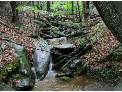 FANTASTIC MOUNTAIN STREAM DOUBLE LOT WITH WINTER LONG RANGE on Bent Tree Golf Course in Georgia - for sale on GolfHomes.com, golf home, golf lot