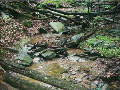 FANTASTIC MOUNTAIN STREAM DOUBLE LOT WITH WINTER LONG RANGE on Bent Tree Golf Course in Georgia - for sale on GolfHomes.com, golf home, golf lot
