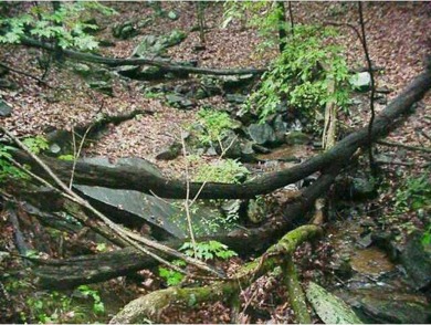 FANTASTIC MOUNTAIN STREAM DOUBLE LOT WITH WINTER LONG RANGE on Bent Tree Golf Course in Georgia - for sale on GolfHomes.com, golf home, golf lot