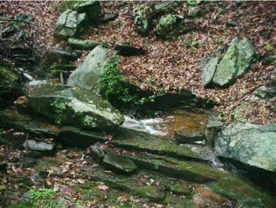 FANTASTIC MOUNTAIN STREAM DOUBLE LOT WITH WINTER LONG RANGE on Bent Tree Golf Course in Georgia - for sale on GolfHomes.com, golf home, golf lot