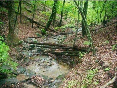 FANTASTIC MOUNTAIN STREAM DOUBLE LOT WITH WINTER LONG RANGE on Bent Tree Golf Course in Georgia - for sale on GolfHomes.com, golf home, golf lot