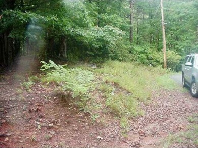 FANTASTIC MOUNTAIN STREAM DOUBLE LOT WITH WINTER LONG RANGE on Bent Tree Golf Course in Georgia - for sale on GolfHomes.com, golf home, golf lot