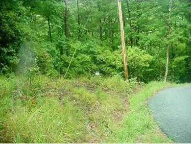 FANTASTIC MOUNTAIN STREAM DOUBLE LOT WITH WINTER LONG RANGE on Bent Tree Golf Course in Georgia - for sale on GolfHomes.com, golf home, golf lot