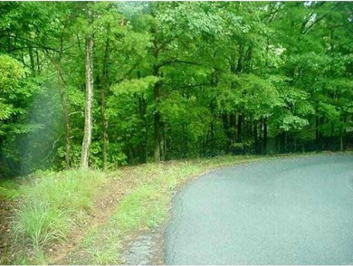 FANTASTIC MOUNTAIN STREAM DOUBLE LOT WITH WINTER LONG RANGE on Bent Tree Golf Course in Georgia - for sale on GolfHomes.com, golf home, golf lot