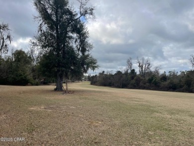 GOLF COURSE FRONT LOT. .88 Acre wooded lot with 181 front foot on Indian Springs Golf Club in Florida - for sale on GolfHomes.com, golf home, golf lot