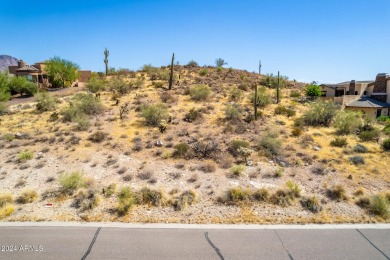 Wait until you see this spectacular hillside lot with views of on Gold Canyon Golf Resort - Sidewinder in Arizona - for sale on GolfHomes.com, golf home, golf lot