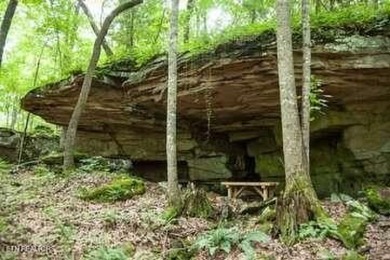 Looking for a warm, inviting home with a seasonal view of the on Druid Hills Golf Club in Tennessee - for sale on GolfHomes.com, golf home, golf lot