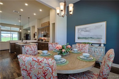 Welcome to this exceptional 2024-built upgraded Westchester on Skyview At Terra Vista Golf and Country Club in Florida - for sale on GolfHomes.com, golf home, golf lot