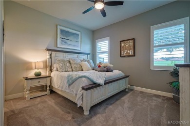 Welcome to this exceptional 2024-built upgraded Westchester on Skyview At Terra Vista Golf and Country Club in Florida - for sale on GolfHomes.com, golf home, golf lot