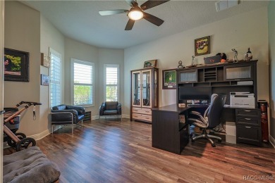 Welcome to this exceptional 2024-built upgraded Westchester on Skyview At Terra Vista Golf and Country Club in Florida - for sale on GolfHomes.com, golf home, golf lot