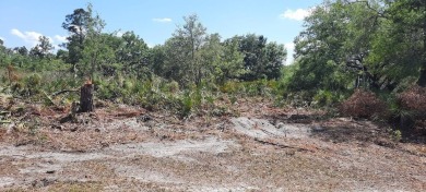 Come build your forever home on this one-half acre lot that on Indian Lake Estates Golf and Country Club in Florida - for sale on GolfHomes.com, golf home, golf lot