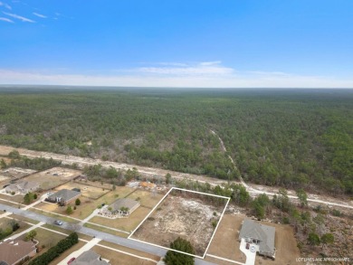 Seize the opportunity to build your dream home on this stunning on Windswept Dunes Golf Club in Florida - for sale on GolfHomes.com, golf home, golf lot