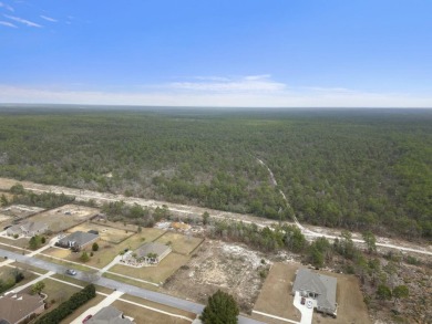 Seize the opportunity to build your dream home on this stunning on Windswept Dunes Golf Club in Florida - for sale on GolfHomes.com, golf home, golf lot