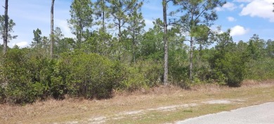 Come build your forever home on this one-half acre lot that on Indian Lake Estates Golf and Country Club in Florida - for sale on GolfHomes.com, golf home, golf lot