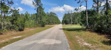 Come build your forever home on this one-half acre lot that on Indian Lake Estates Golf and Country Club in Florida - for sale on GolfHomes.com, golf home, golf lot
