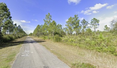 Come build your forever home on this one-half acre lot that on Indian Lake Estates Golf and Country Club in Florida - for sale on GolfHomes.com, golf home, golf lot