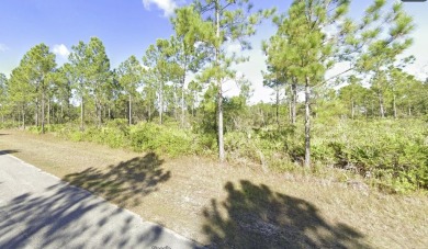 Come build your forever home on this one-half acre lot that on Indian Lake Estates Golf and Country Club in Florida - for sale on GolfHomes.com, golf home, golf lot