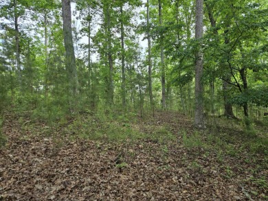 Don't miss one of the last Golf Course Building Lots available on Reynolds Lake Oconee - The Oconee in Georgia - for sale on GolfHomes.com, golf home, golf lot