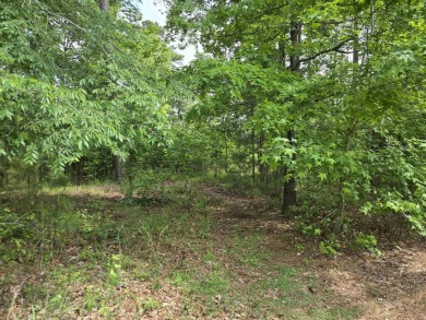 Don't miss one of the last Golf Course Building Lots available on Reynolds Lake Oconee - The Oconee in Georgia - for sale on GolfHomes.com, golf home, golf lot