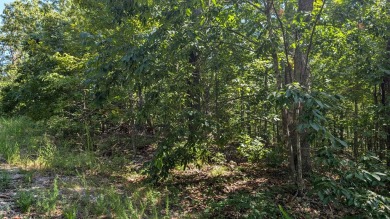 Check out these two Cherokee Village lots located near one of on Cherokee Village North Course in Arkansas - for sale on GolfHomes.com, golf home, golf lot