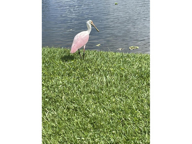 WATERFRONT GEM! Discover one of the largest villas in the highly on Atlantis Golf Club in Florida - for sale on GolfHomes.com, golf home, golf lot